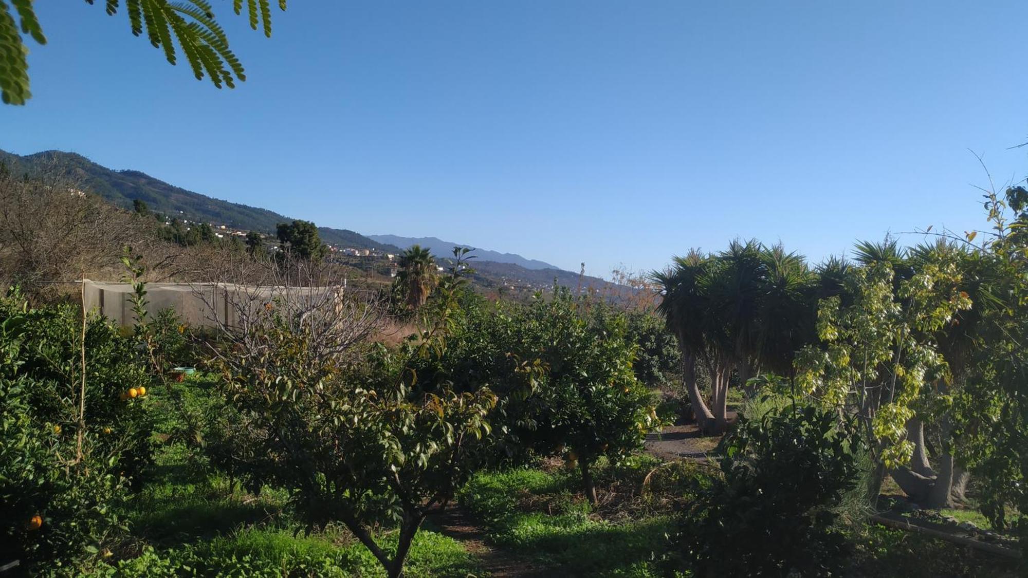 Finca Panorama Тихарафе Экстерьер фото